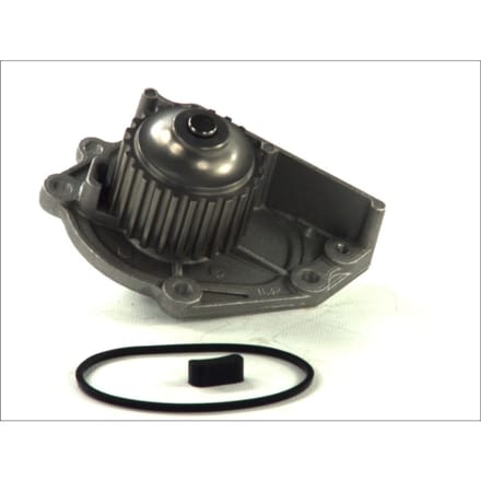 Waterpomp THERMOTEC D1K006TT