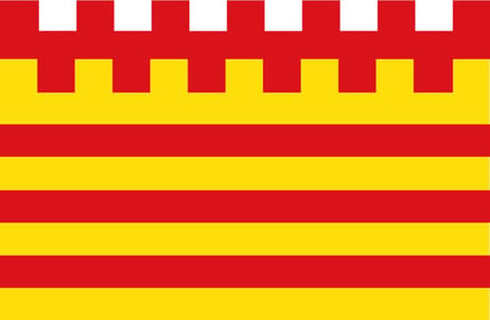 Vlag Pelt 150x225cm