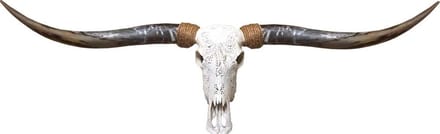 Longhorn skull echt gegraveerd flower