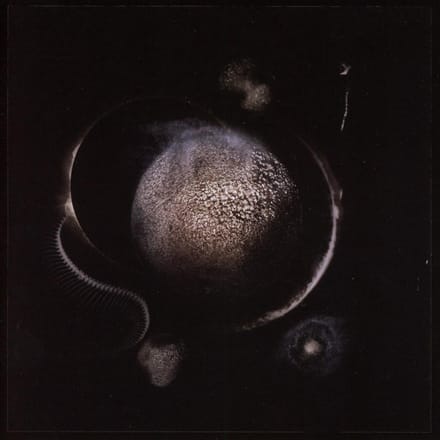 Cold Black Suns - Enthroned