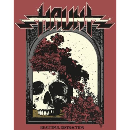 Beautiful Distraction - Haunt