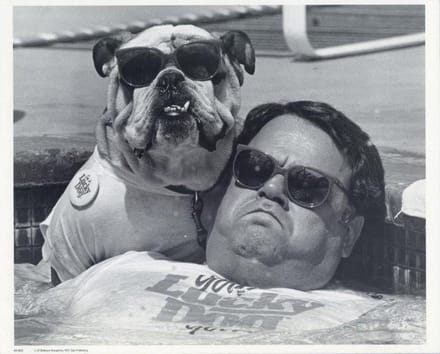 Mini zwart-wit poster - Chilling Man and Dog  - Bettmann Newsphotos - 24x30 cm