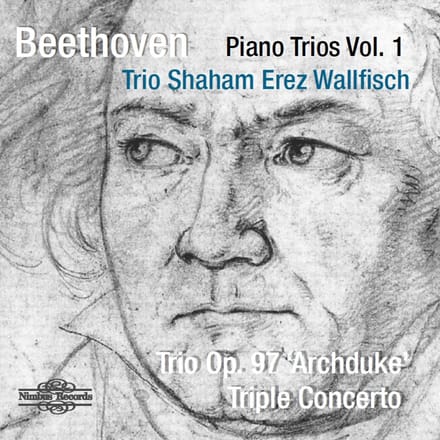 Trio Shaham-Erez-Wallfisch & Orchestra Of The Swan - Beethoven: Piano Trios Vol. 1 (CD)