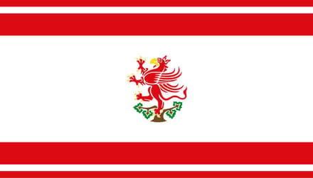 Vlag Greifswald 100x150cm