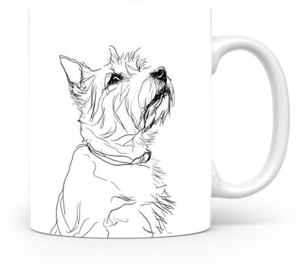 Beker Norwich Terrier
