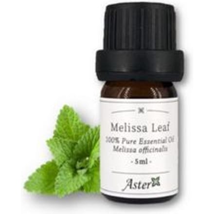 Aster Aroma - 100% Pure Essential Oil Melissa Leaf Melissa Officinalis 5ml