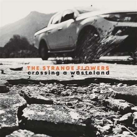 Strange Flowers - Crossing A Wasteland (LP)
