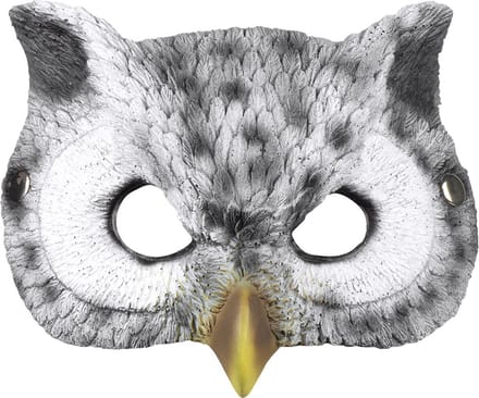 Boland - Foam masker Uil - Kinderen en volwassenen - Uil - Dieren