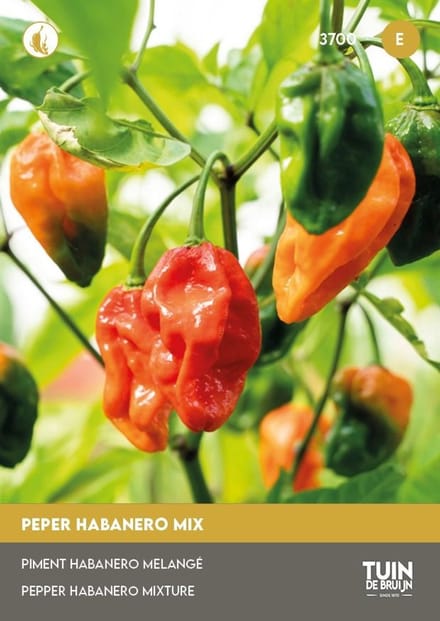 Tuin de Bruijn Habanero Mix – 20 Zaden – Zeer Hete Peper