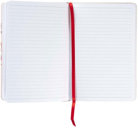 Bruynzeel notitieboek a5 80 g/m² 160 pagina's | Krimp a 1 stuk