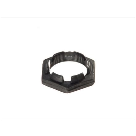 Wielnaafmoer AUGER 55768
