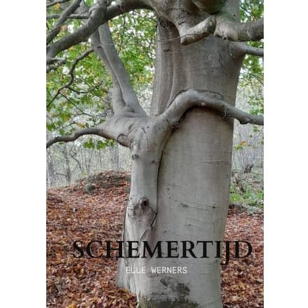 Schemertijd - Elle Werners