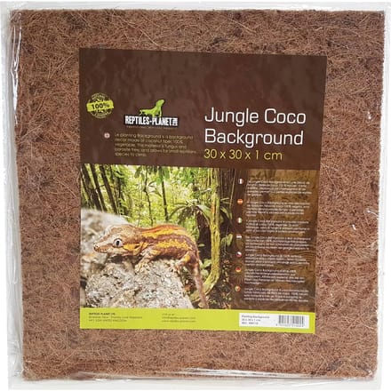 Terrarium accessoires Reptiles Planet Jungle Coco Background