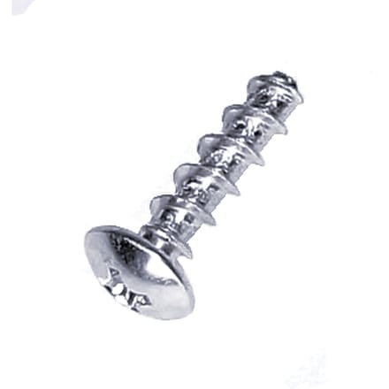 Screw