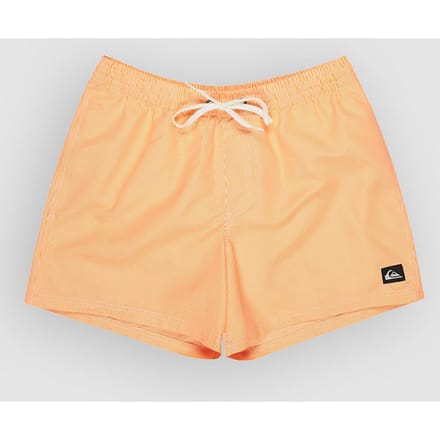 Zwemshort Quiksilver Everyday Deluxe Volley 15