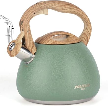 Waterkoker 2,7 L - Hoorbare Fluitketel van Roestvrij Staal - Geschikt voor Alle Warmtebronnen
