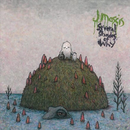 J Mascis - Several Shades Of Why (LP)