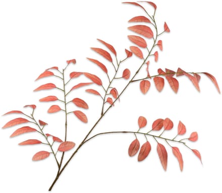 Silk-ka - Kunstbloem - bladtak - oranje - H107 cm