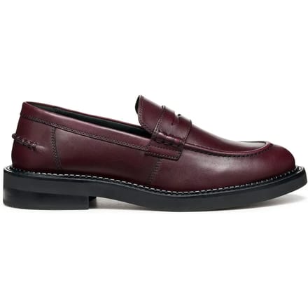 Damesschoenen Geox Serilda