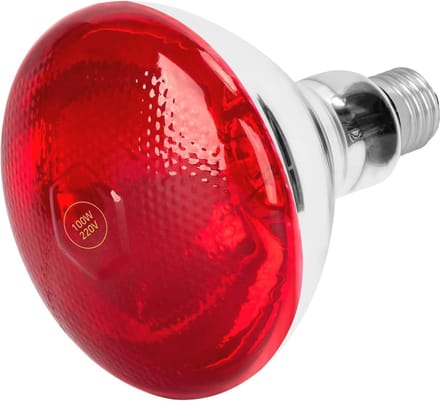 Infrarood Verwarmingslamp 100W - Gloeilamp voor Dieren en Mensen