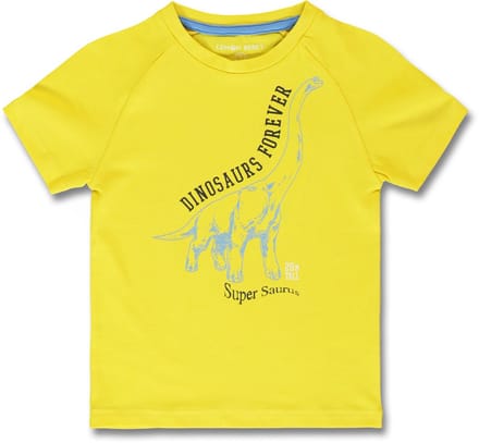 Lemon Beret t-shirt jongens - geel - 153392 - maat 116