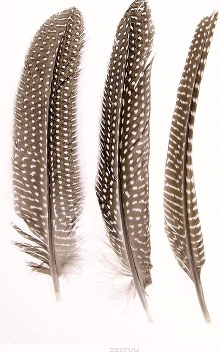 Hobby/knutsel Parelhoen/fazanten sierveren - 10x stuks - decoratie materialen