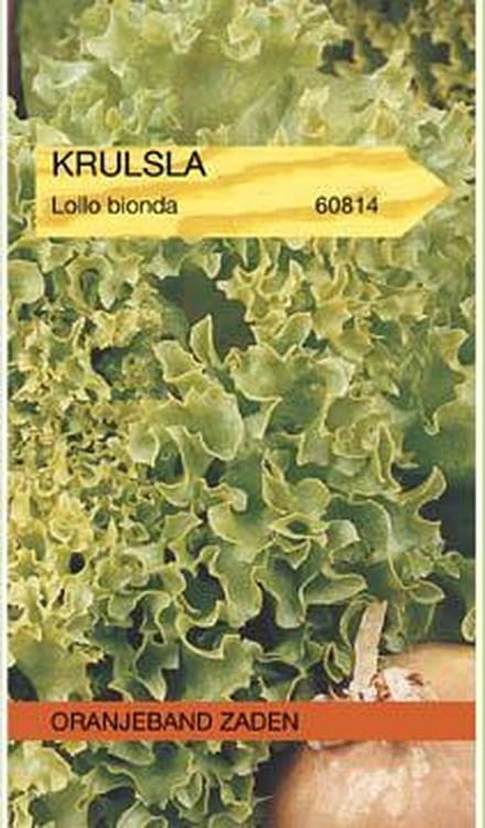 Krulsla Lollo Bionda