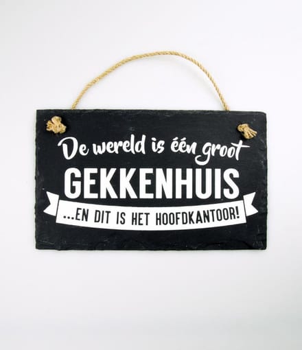 Leisteen - De wereld gekkenhuis
