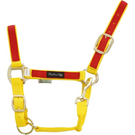 Kleurige nylon halster voor paard Umbria Equitazione