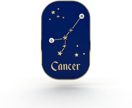 PINETS Zodiak Kreeft Speld met Zirkonia - 14K Gouden Afwerking