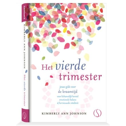Het Vierde Trimester - Kimberly Ann Johnson