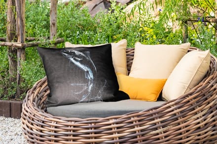 Buitenkussens - Tuin - Vis - Koi - Zwart - Water - 50x30 cm