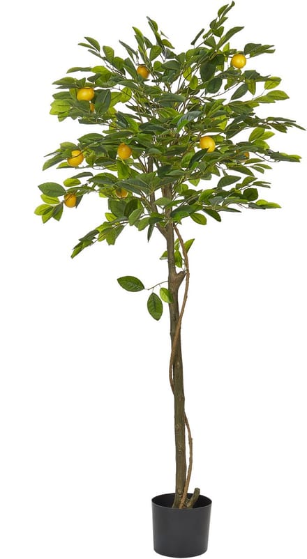 LEMON TREE - Kunstplant - Groen - 156 cm - Synthetisch materiaal
