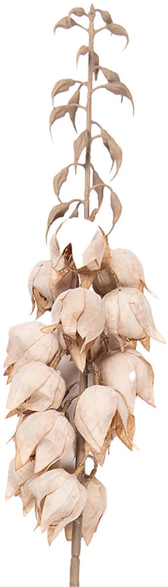 Clayre & Eef Kunstbloem 100 cm Beige Kunststof