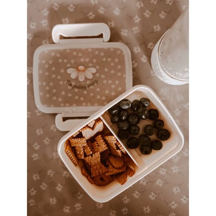 Mrs Ertha Bentobox / brooddoos met indeling - 15x12x5cm - Little Daisys