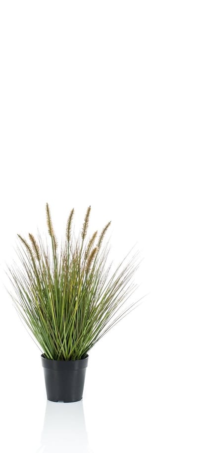 Emerald - Kunstplant Pennisetum Gras 58cm - Kunstplant voor binnen