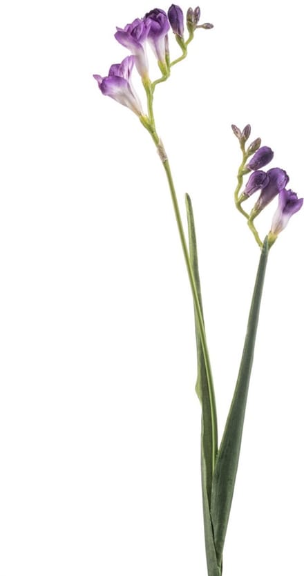 Emerald - Kunstbloem Freesia 80cm paars - Kunstplant voor binnen