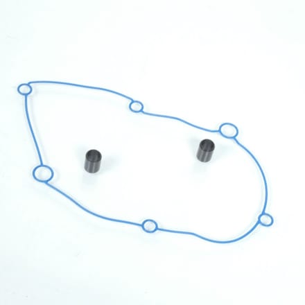 polini transmissiehuis voor benelli 50 491 rr scooter nieuw