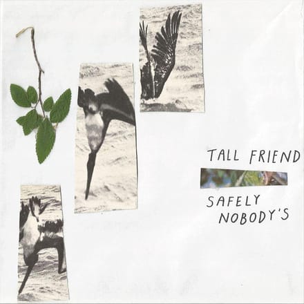 Safely Nobodys