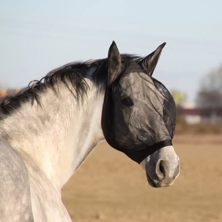 Anti-vliegenmasker voor paarden York Anika