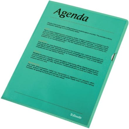 Esselte Standaard Zichtmap A4 - 0,11mm PP Folie - 100 Stuks - Groen