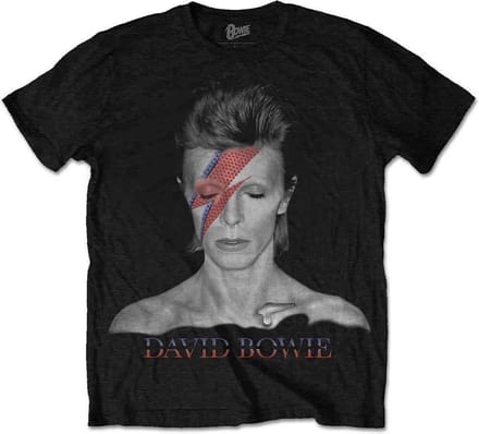 David Bowie - Aladdin Sane Heren T-shirt - S - Zwart