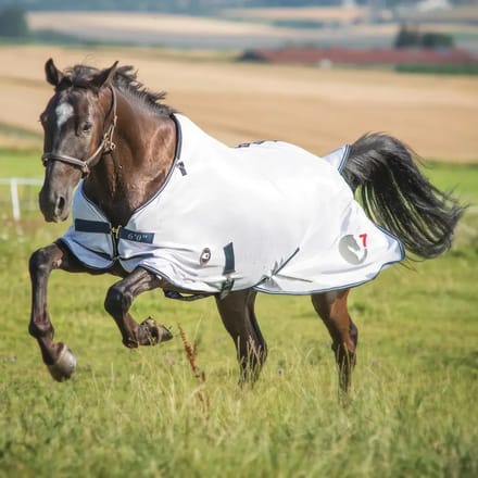 Paardenvliegendeken HorSeven
