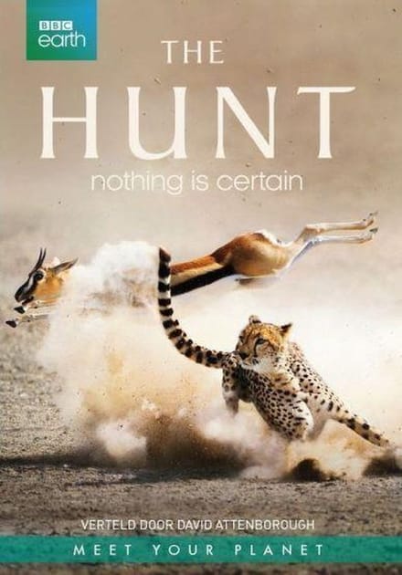 BBC Earth - The Hunt