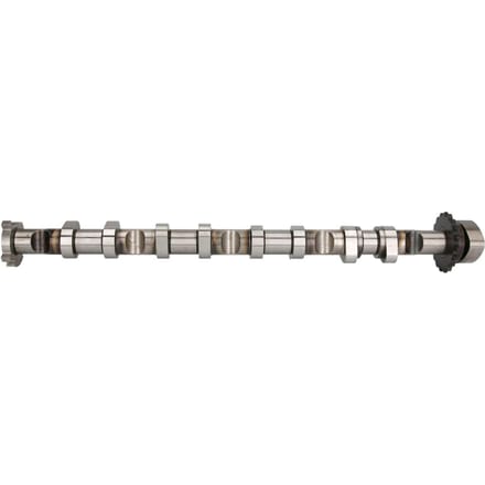 Nokkenas  AE CAM981