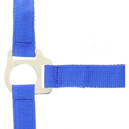 Halter Riding World Club