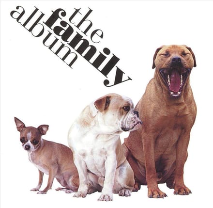 Various Artists - Family Album (CD)