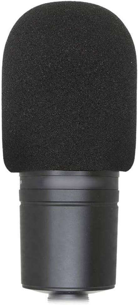 Microfoon Schuim Windscreen Cover, Ideaal Popfilter Masker voor Grote Microfoons zoals Audio Technica AT2020, Geluidsisolatie en Windbescherming