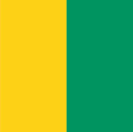 Vlag Guinee 70x100cm
