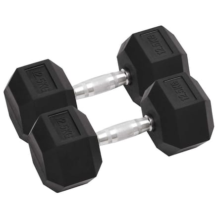 vidaXL - Halters - 2 - st - 12,5 - kg - totaal - gietijzer